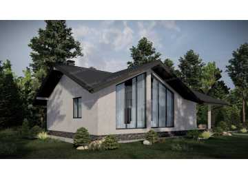 Проект узкого одноэтажного дома с большими окнами - P242-2