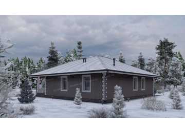 Проект жилого одноэтажного дома с размерами 8 м на 11 м - P244