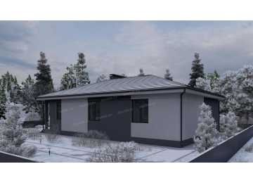 Проект узкого одноэтажного дома в стиле минимализм - P252