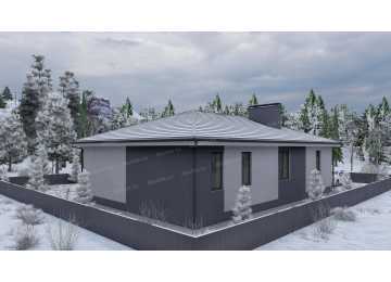 Проект узкого одноэтажного дома в стиле минимализм - P252